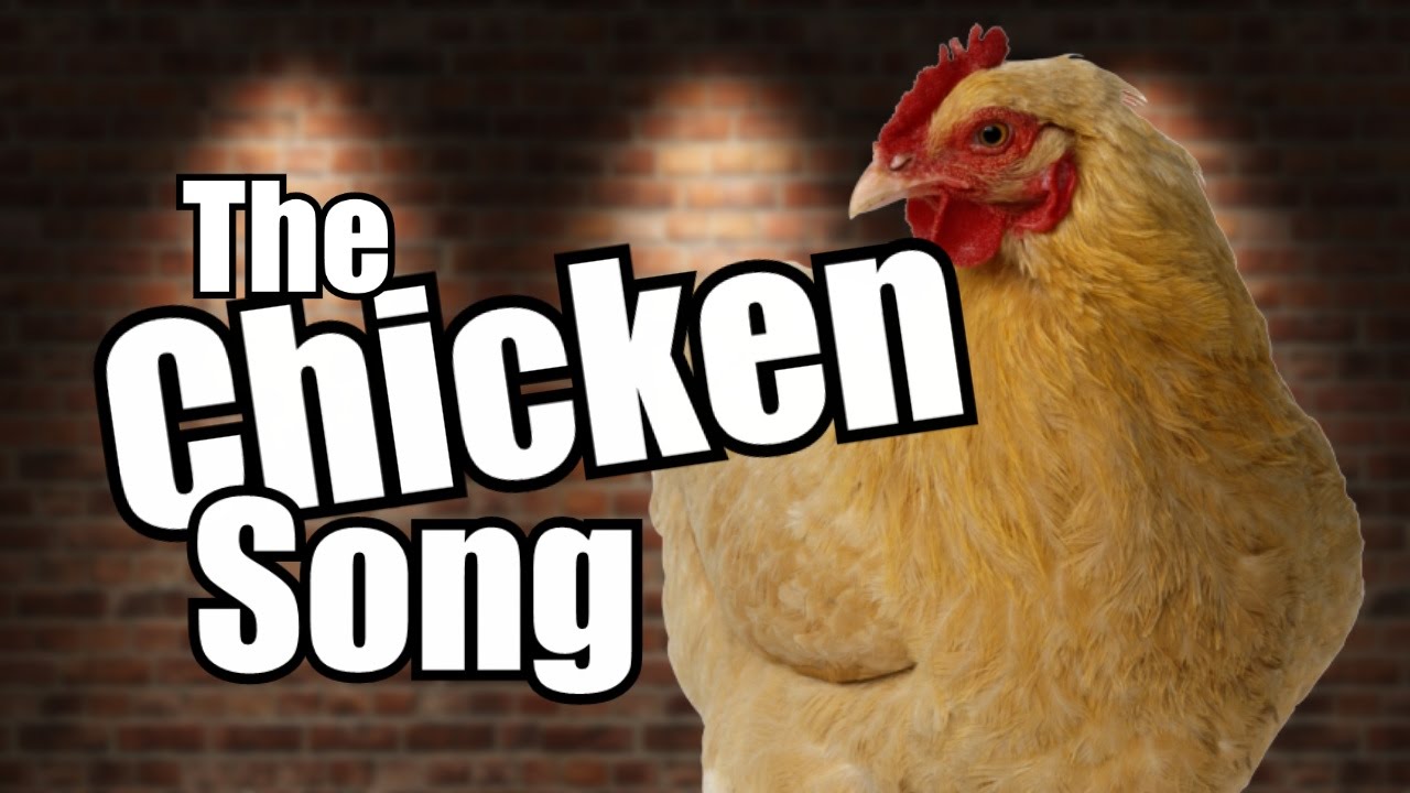 Песня курица сыр. Чикен Сонг. Чикен песня. Песня Чикенс. Chicken Song чикинсонг.