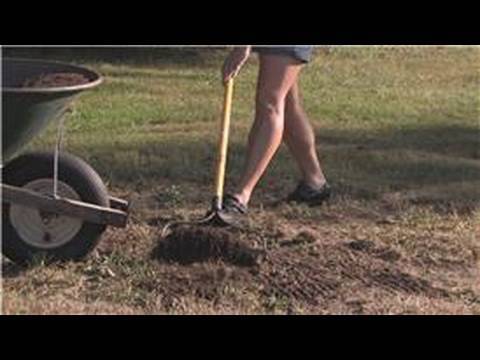 Grass & Lawn Maintenance : How to Plant Grass Seed in Sand