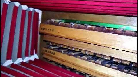 Inside Accordion (Chinese) Whilst Playing.