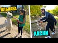 ГУЛЯЮ ПО МОСКВЕ С АЛЬПАКОЙ / МАКСИМ ДРЕССИРУЕТ СОБАКУ