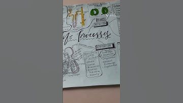 Life Processes Class 10 Mind map