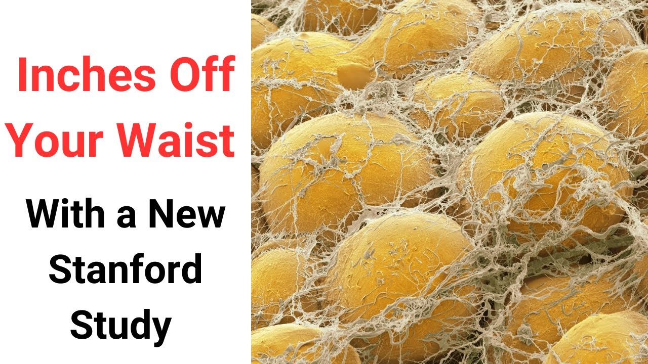 Lose Inches Off Your Waist Line YouTube lose-inches-off-your-waist-line-youtube
