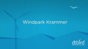 Real-Time Wildlife Detection: Protecting White-Taile Eagles at Windpark Krammer with DTBird