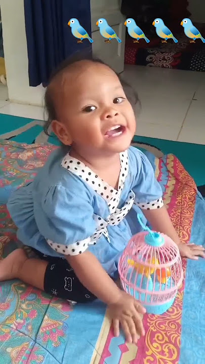 Cicit cuit 😊 #shorts #burung #toys