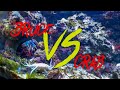 Peacock Mantis Shrimp vs Crab