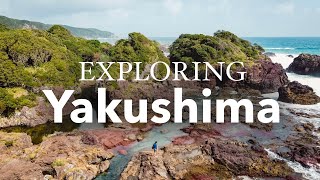 Guide to Japan's Kagoshima and Yakushima Islands