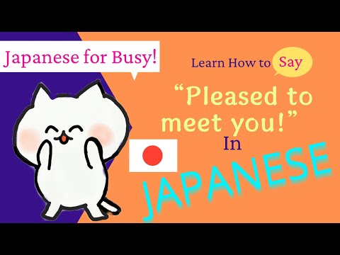 How To Say “Pleased To Meet You!” / “Nice To Meet You! In Japanese ~ Japanese For Busy - Learn Fast