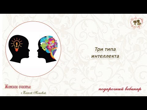 Три типа интеллекта. Елена Попова