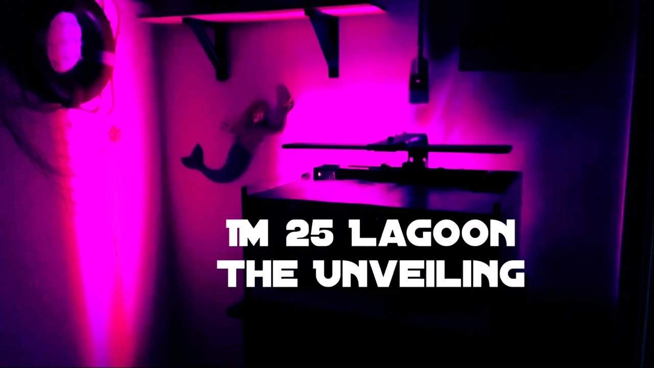 mighty blog Ep.3 - The IM25 Lagoon Build - Unveiling! IT IS DONE!