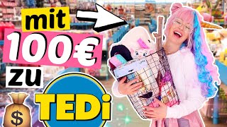 Was bekommt man für 100€ bei TEDI? 💰Billig-Laden | ViktoriaSarina