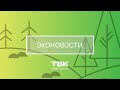 «Эконовости»: как в Красноярском крае решить проблему загрязнения воздуха