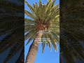 12/100 things to do for FREE in Barcelona😍
