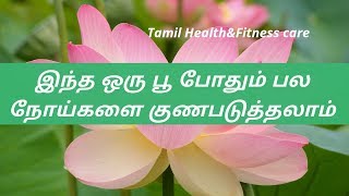 தாமரைபூ மருத்துவ பயன்கள்|thamarai poo benifits in tamil