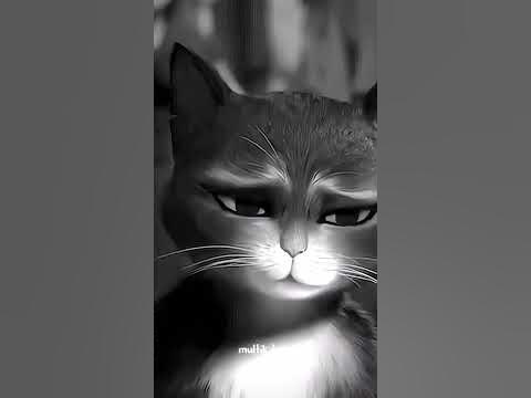 Katta kokrak va ogli bilan ona jinsiy aloqa video