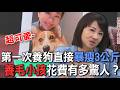 第一次養狗直接暴瘦3公斤  劉怡里養毛小孩花費有多驚人？【新聞挖挖哇】
