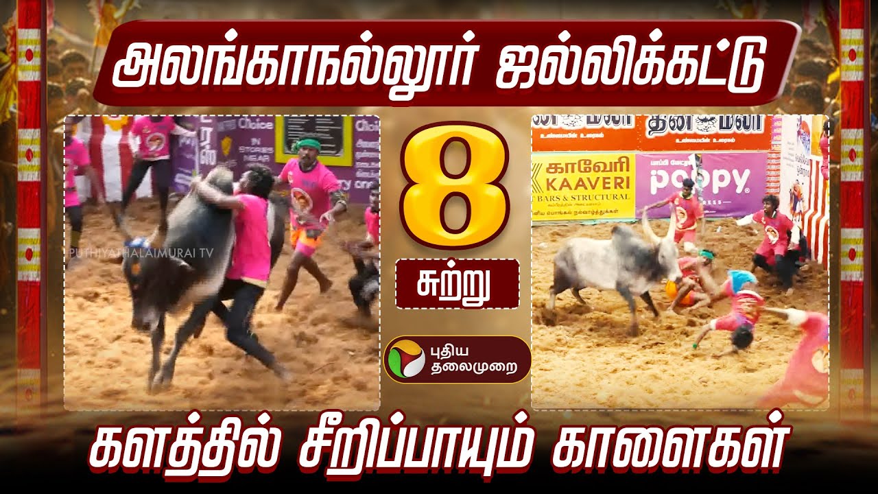 Alanganallur Jallikattu | அலங்காநல்லூர் ஜல்லிக்கட்டு.. சுற்று 8 | Madurai Alanganallur Jallikattu