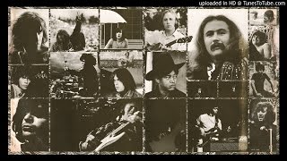 Crosby, Stills, Nash & Young ► Almost Cut My Hair [HQ Audio] Déjà Vu 1970 chords