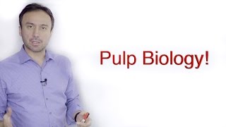 Pulp Biology: A Basic Crash Course