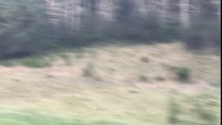 IMG 1018