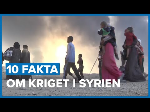 Video: Interessante Fakta Om Krige - Alternativ Visning