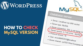 WordPress: How to Check MySQL Version