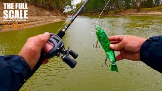 Murray Cod Prime Time Surface Fishing | The Full Scale