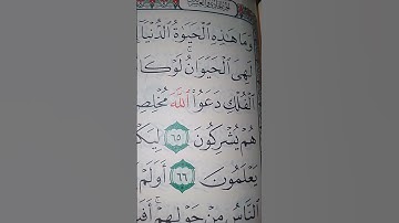 ما معنى "وإن الدار الآخرة لهى الحيوان"#سورة #العنكبوت