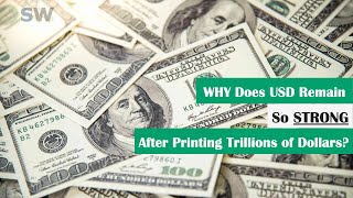 Why Does USD Remain So STRONG After Printing Trillions Of Dollars?