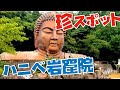 絶叫必至！珍スポット『ハニべ岩窟院』へ行ってきた！！【珍百景・奇界遺産・VLOG/家族の日常・おすすめテーマパーク】