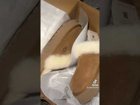 Video: Je, ugg slippers hunyoosha?