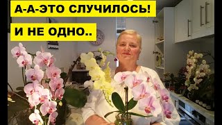 : -- -  !..  ..
