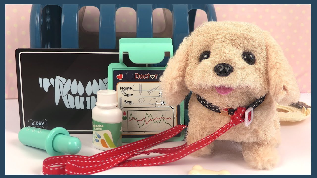 Jouet Vétérinaire Chien Malade | Pet Vet Toys Puppy Dogs Chiots