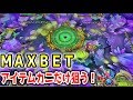 【メダルゲーム】オーシャンモンスターに30枚のＭＡＸＢＥＴをするとこうなるよ～ｗｗ