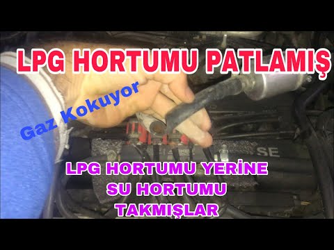 Video: LPG hortumları nə qədər tez -tez dəyişdirilməlidir?