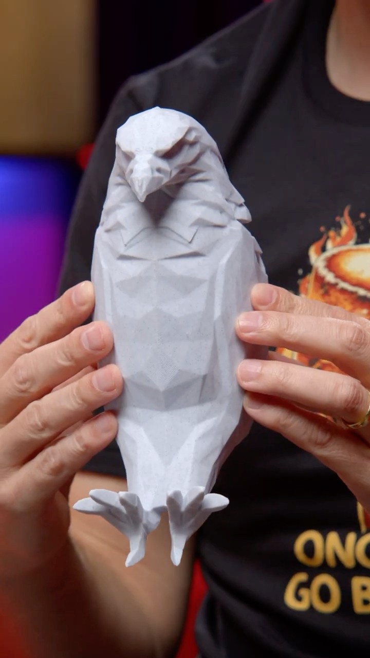 This Eagle Has A Secret...