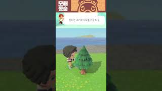 모동숲 나무 안 자라게 하는 방법 나무 크기 고정하기 #shorts