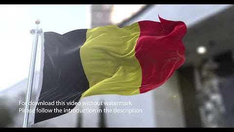 Belgium flag with 3d effect blowing in the wind 3D Flag V2 long