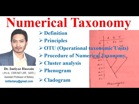 Video: In der numerischen Taxonomie otus für die Analyse von Arten?