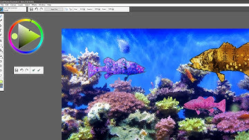 How to use the Coral Reef Essentials brush pack for Painter Essentials 6