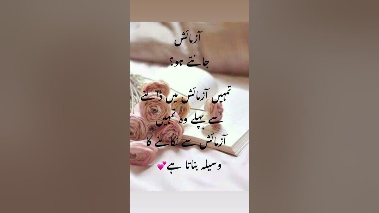 Islamic videos Islamic status WhatsApp statustrending videos search