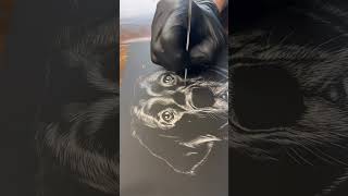 K9 Salsa 💃🏼 scratchboard drawing full Timelapse