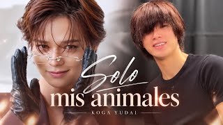 &TEAM エンティーム K ケイ || Solo Mis Animales FMV