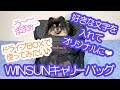 多機能♪超便利なWINSUN製キャリーバッグを車で試用してみたポメラニアン犬【はなポメ#549】