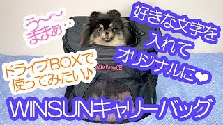 多機能♪超便利なWINSUN製キャリーバッグを車で試用してみたポメラニアン犬【はなポメ#549】