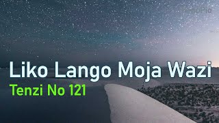 Liko Lango Moja Wazi - Tenzi za Rohoni No 121