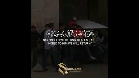 القارئ طارق محمد