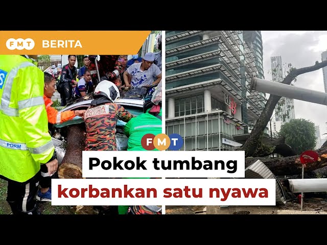 Seorang maut akibat pokok tumbang di Jalan Sultan Ismail class=