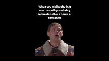 Bug 🪲 #codeblocks #code #funny #memes #pythonanddjangofullstackwebdeveloper #javascript #programming