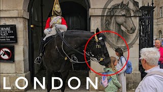 HUGE Horse Gently Tells a Child to Move Out of The Box!