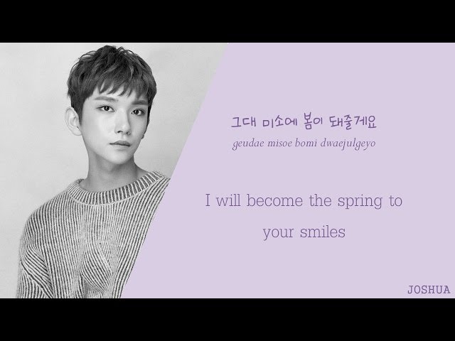SEVENTEEN - たむたむ LYRICS/가사] SEVENTEEN (세븐틴) - Smile Flower (Japanese Ver